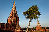 Ayutthaya, Thailand. Wat Chaiwatthanaram, N-E corner of the compound facing the river. 